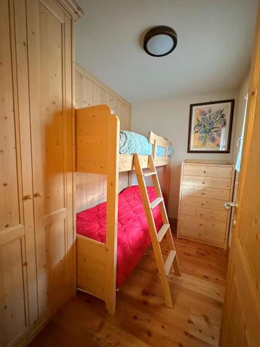 a bedroom with a bunk bed with a ladder at Chalet del Borgo in Le Bratte