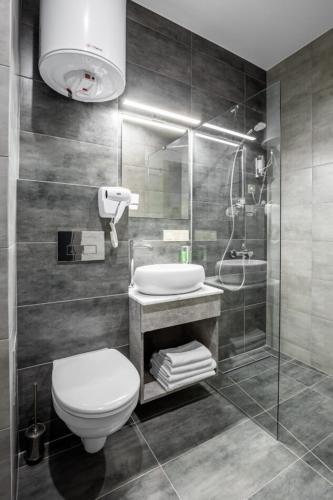 a bathroom with a toilet and a sink and a shower at HAMSTER APART in Kyiv