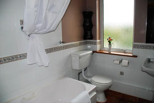 a bathroom with a toilet and a sink and a window at Ferryport House B&B in Rosslare