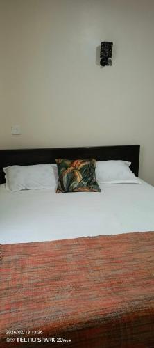 a bed with two pillows on top of it at Savannah milestone in Gilgil