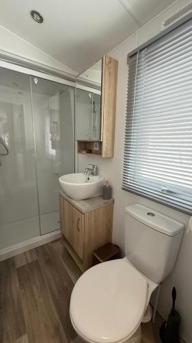 a bathroom with a white toilet and a sink at Andes in Dronrijp