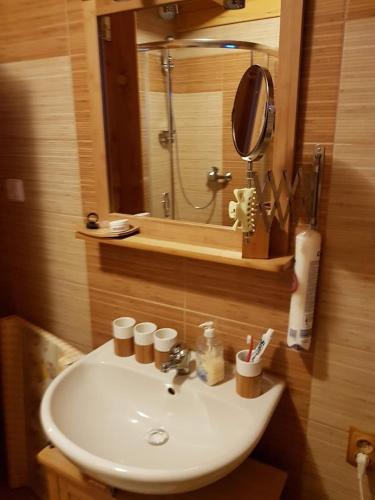 a bathroom with a sink and a mirror at Zrubová chata Jakub in Oravská Lesná