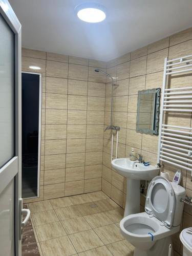 a bathroom with a toilet and a sink at Insieme in Vidra