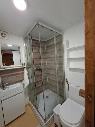a bathroom with a shower and a toilet at Refugio Purrunko in Pucón