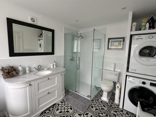 a bathroom with a shower sink and a washing machine at Mid- Village Croft in Cairndow