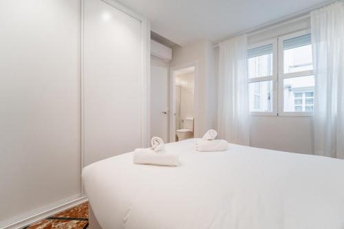 Modern bright - 1Bedroom 1Bath-Malasaña