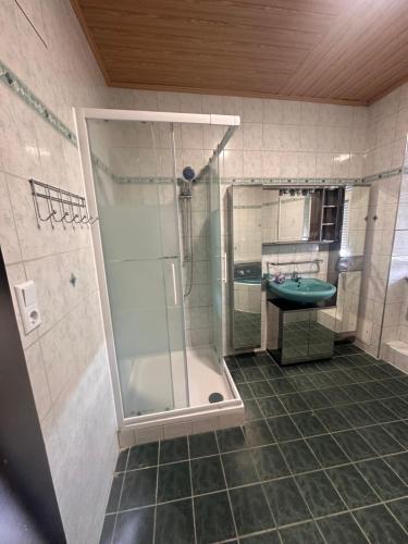 a bathroom with a shower and a sink at Monteurunterkunft nahe Tor 1 in Leuna