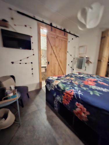 a bedroom with a bed and a sliding door at B&B Biej' oons tuus in Hellendoorn