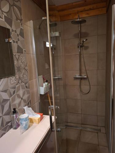 a bathroom with a shower with a glass door at B&B Biej' oons tuus in Hellendoorn