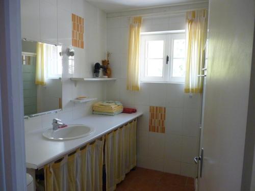 a bathroom with a sink and a mirror at Gîte de la Grosse Planche in Férolles