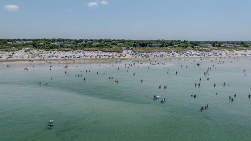 a group of people in the water at a beach at Large Great Location Dog Friendly in Dennis