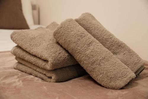 Setagaya Quiet Residential Apartment203
