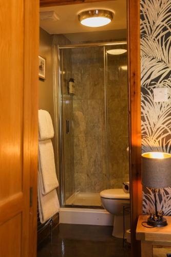 a bathroom with a shower and a toilet at The Haughmond in Shrewsbury