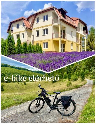 Levendula Apartman Bükkszentkereszt