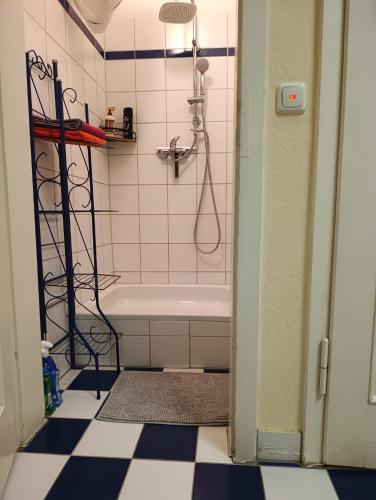 a bathroom with a shower and a white tub at Einzigartige Studio-Atmosphäre in Bamberg