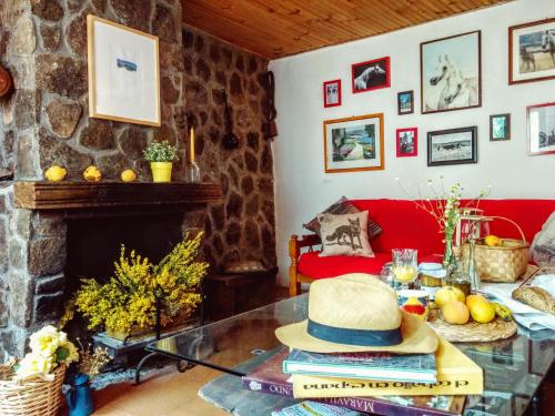 una sala de estar con una mesa con un sombrero en Hostal Refugio De Gredos, en Navarredonda de Gredos
