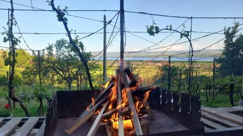 a fire in a grill with a view at Casa Wylak Winery in Uileacu de Criş