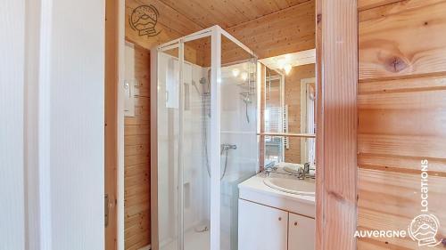 a bathroom with a shower and a sink at Chalet de la Gougère 1 in Chambon-sur-Lac