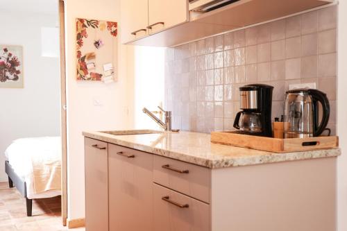 a kitchen with a sink and a coffee maker on a counter at Les Terrasses du Maquis in Nonza
