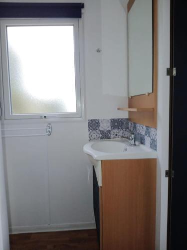 a bathroom with a sink and a window at Escapade aux Peupliers in Vironchaux