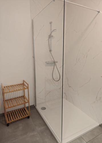 a shower stall with a glass door in a bathroom at Au pays des cigognes in Cambron-Casteau
