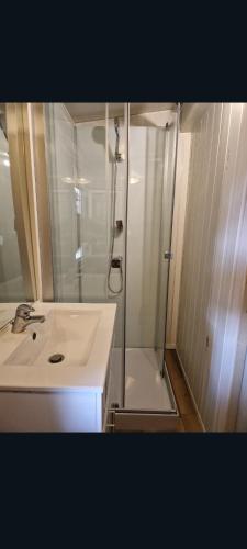 a bathroom with a shower and a white sink at Mobilhome spacieux in Pornic