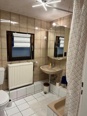 a bathroom with a sink and a toilet at CasaCremer 3 in Übach-Palenberg