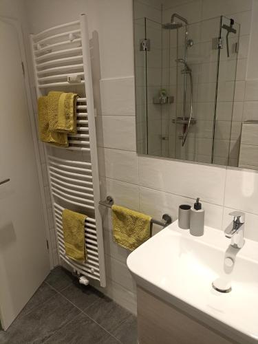 a bathroom with a sink and a shower at Casa Stetten in Lörrach