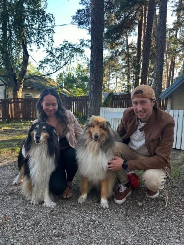 Kjæledyr som tilhører gjester på Metsa Hostel