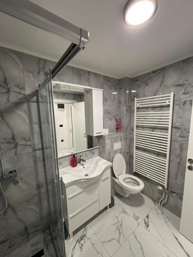 a bathroom with a toilet and a sink and a shower at Apartman Miljanic in Vlasenica