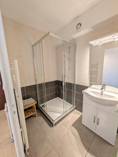 a bathroom with a shower and a sink at Appartement Bellevue - T2 vue montagne - calme - parking gratuit - 4 personnes in Meylan