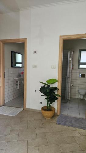 a bathroom with a potted plant in a room at Holiday home in Galilee in Sheʼar Yashuv