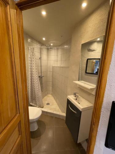 a bathroom with a shower and a toilet and a sink at la terrasse in Marseillan