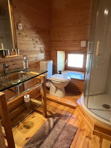 a bathroom with a toilet and a sink and a shower at Chambre de charme in Berbezit