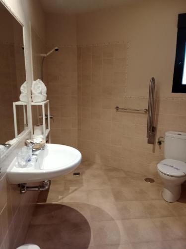 a bathroom with a sink and a toilet at El rincón del Vadillo in La Velilla