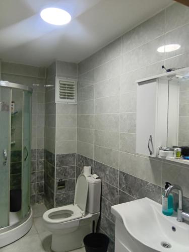 a bathroom with a toilet and a sink at Alyakek Apartment in Istanbul