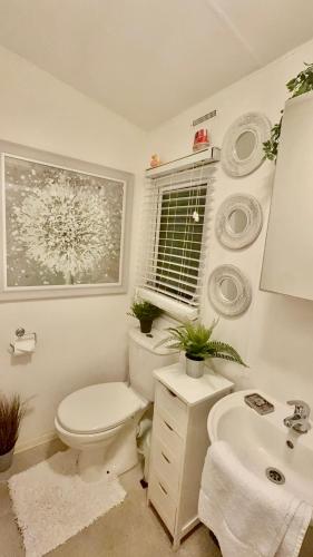 a bathroom with a toilet and a sink and a window at Hoburne Devon Bay Holiday Home Oak & Linen Living - Home from home- Fresh Bright Rental in Torquay