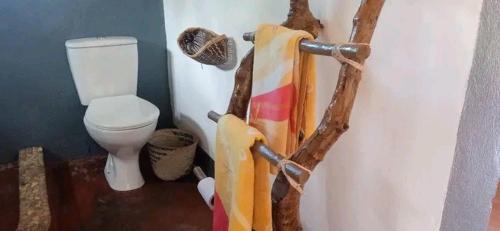 a bathroom with a toilet and a towel at Ecolodge d'Isalo in Ranohira