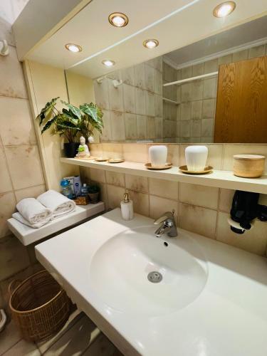 a bathroom with a sink and a mirror at Das CLASSIQUE Galerieappartement 50qm - Elegant und geräumig wohnen - Espressomaschine, Airfryer, Balkon, Vierbeinerfreundlich, Parkgarage -AppHaus Poseidon in Bad Griesbach