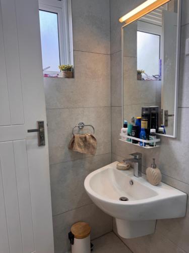 a bathroom with a sink and a mirror at Villa Auxesiaa in Wattala