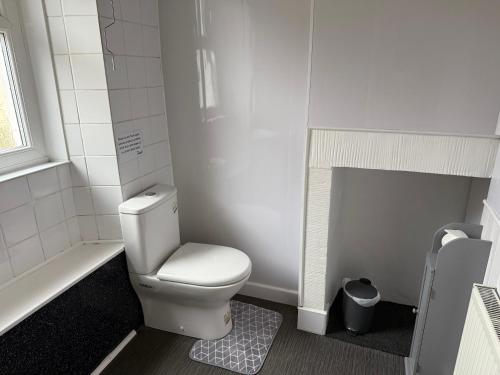 a bathroom with a white toilet and a shower at 16 Main Street in St Bees