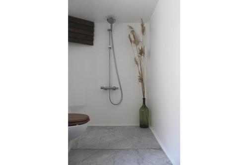 een badkamer met een toilet en een vaas aan de muur bij Casa Bella Gangi in Gangi