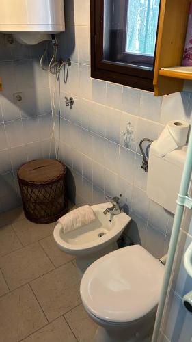 a bathroom with a toilet and a sink at Apartments Vila Ančka in Tržič