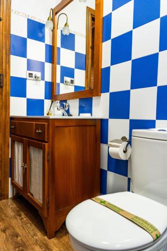 a bathroom with a blue and white checkered wall at casa rural Cerro laute in Lanjarón