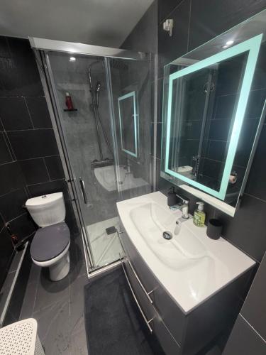 a bathroom with a sink and a shower and a toilet at T3 duplex Cosy Centre-ville Longjumeau Proche RER TGV Orly in Longjumeau