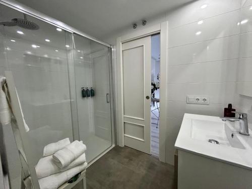 a bathroom with a shower and a sink and a mirror at Apto La Estambrera IV Wifi y Aire Acondicionado in Logroño