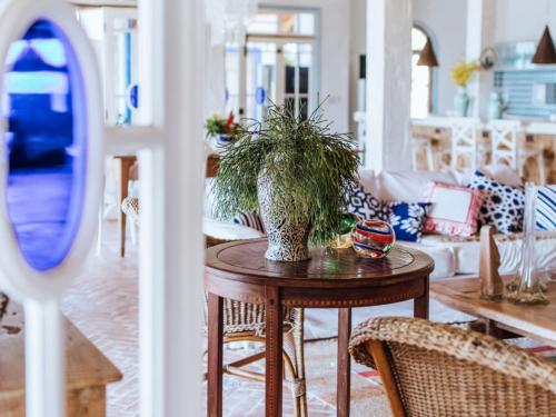 a table with a plant on it in a living room at Vilatoro Guest House in Ilhabela