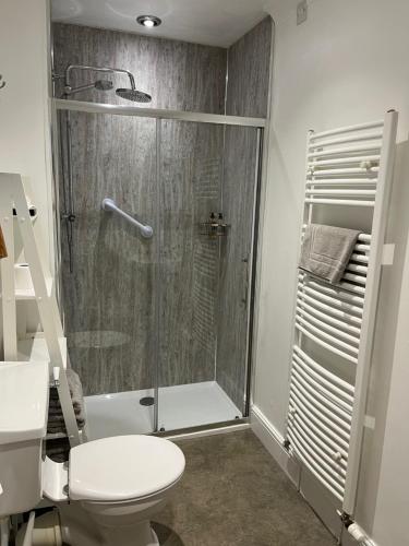 a bathroom with a shower and a toilet at Beaconsview B&B in Brecon