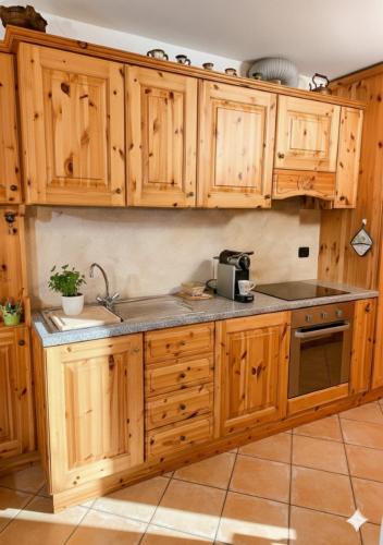 a kitchen with wooden cabinets and a sink at Lo chalet di Lucky in Campodolcino