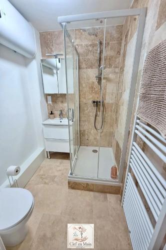 a bathroom with a shower with a toilet and a sink at Le Petit Cocon Cozy studio proche de Lyon in Couzon-au-Mont-dʼOr